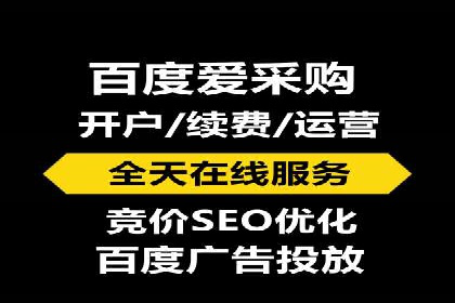 百度竞价包年全解析：成功案例分享